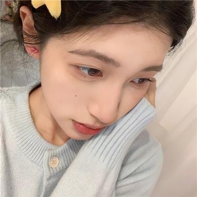 动物宝宝